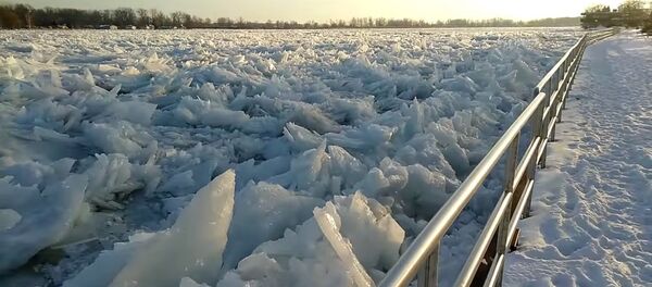 L’Antarctique est venue aux USA - Sputnik Afrique