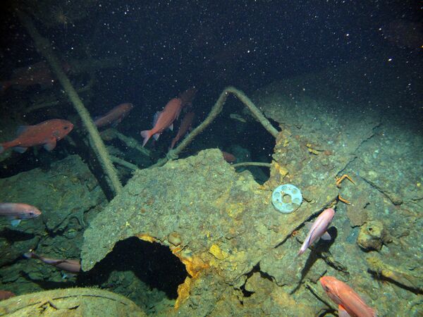 Des fragments du sous-marin australien AE1 découvert le long des côtes de la Papouasie-Nouvelle-Guinée Des fragments du sous-marin australien AE1 découvert le long des côtes de la Papouasie-Nouvelle-Guinée - Sputnik Afrique