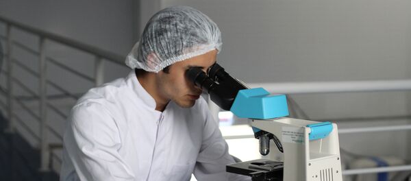 Microscopio (imagen referencial) - Sputnik Afrique