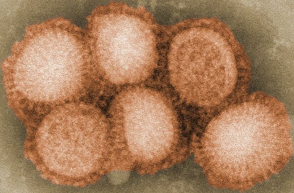 Le virus H1N1 Le virus H1N1 - Sputnik Afrique