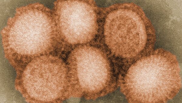 Le virus H1N1  - Sputnik Afrique