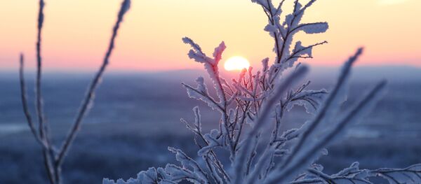 neige - Sputnik Afrique