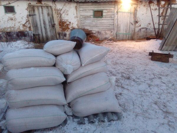 Dans la cour de la ferme - Sputnik Afrique