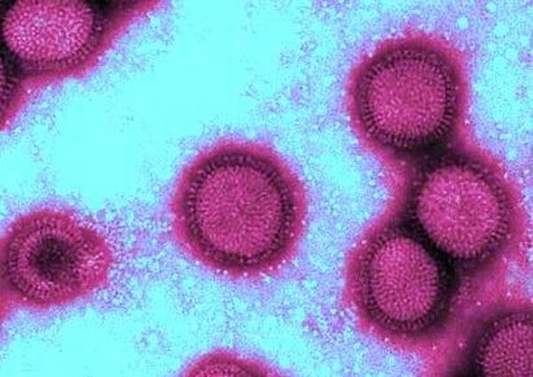 Picture of the H1N1 virus Picture of the H1N1 virus - Sputnik Afrique