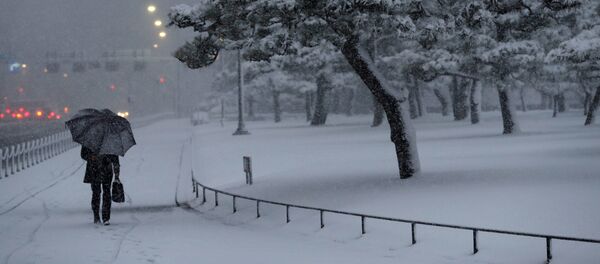 chutes de neige au Japon - Sputnik Afrique