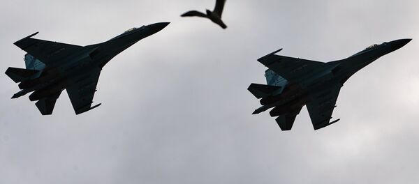 Des chasseurs Su-27 - Sputnik Afrique