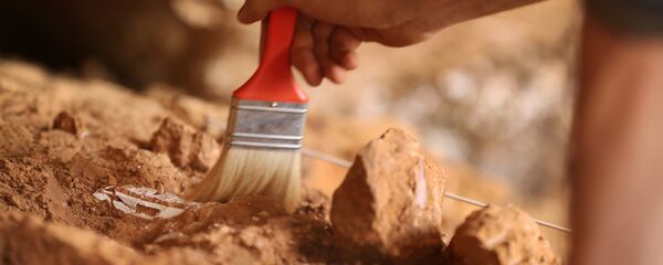 Archéologue - Sputnik Afrique