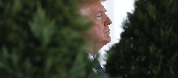Donald Trump - Sputnik Afrique
