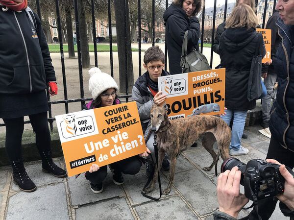 Manifestation contre l'exploitation des lévriers à Paris Manifestation contre l'exploitation des lévriers à Paris - Sputnik Afrique