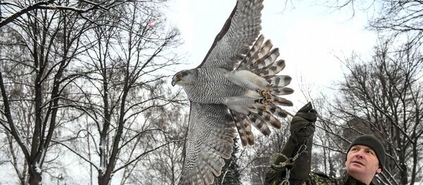 Un autour du Kremlin - Sputnik Afrique