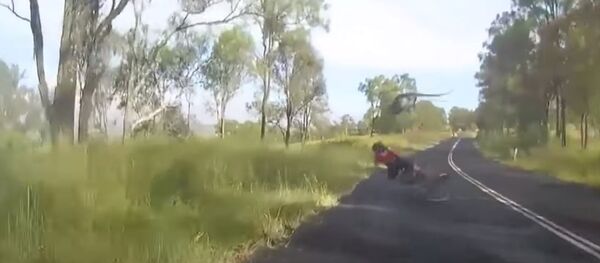 En Australie, un kangourou bondissant a fauché une cycliste - Sputnik Afrique