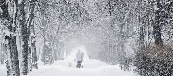 hiver - Sputnik Afrique