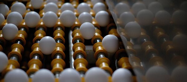 Des œufs - Sputnik Afrique