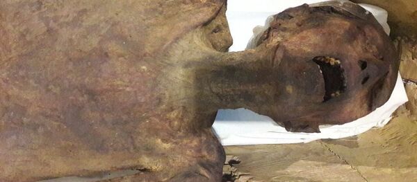 Кричащая мумия сына древнеегипетского фараона XX династии Рамзеса III Пентаура - Sputnik Afrique