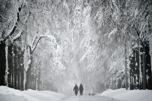 Chute de neige exceptionnelle à Moscou - Sputnik Afrique