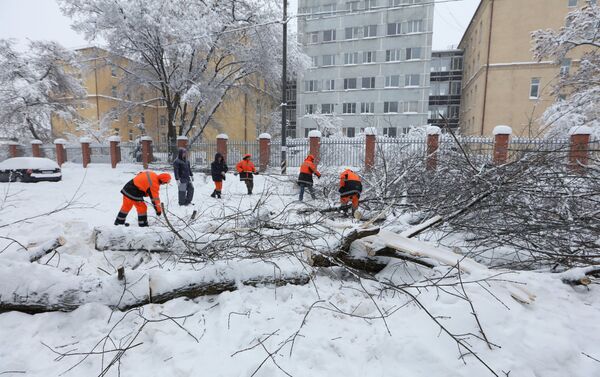 Les chutes de neiges record à Moscou - Sputnik Afrique
