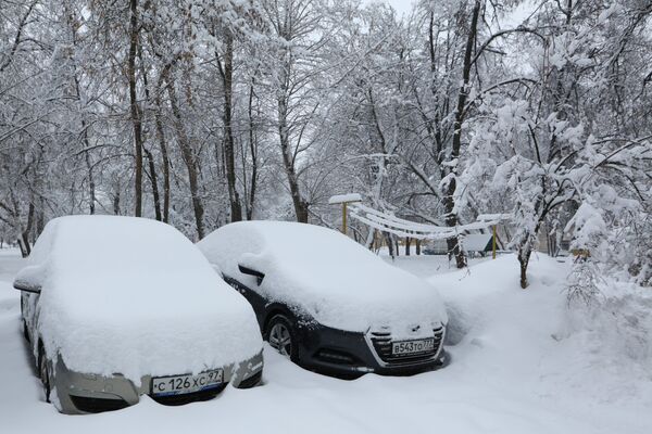 Chute de neige exceptionnelle à Moscou - Sputnik Afrique