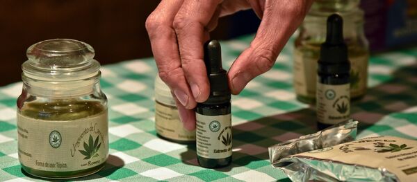 Le cannabis à usage thérapeutique - Sputnik Afrique