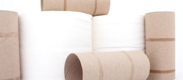 Papier toilette - Sputnik Afrique