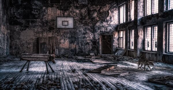 La zone de Tchernobyl en photos insolites - Sputnik Afrique
