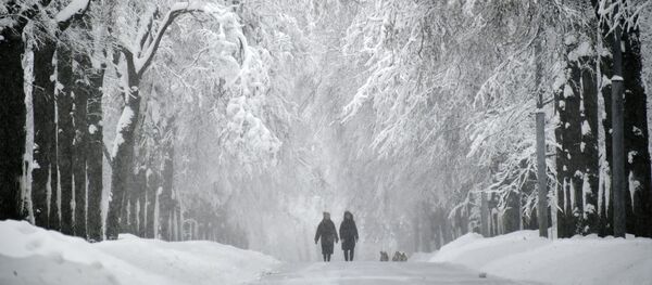 Заснеженная аллея на Воробьевых горах во время снегопада - Sputnik Afrique