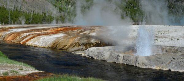 Parc national de Yellowstone - Sputnik Afrique
