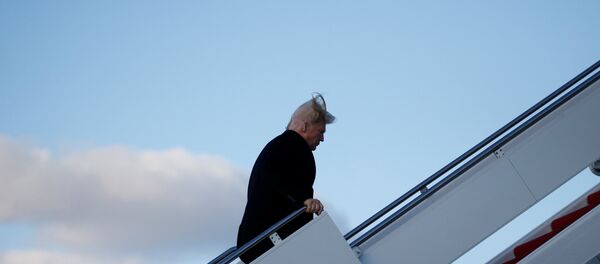 Le Président Donald Trump - Sputnik Afrique