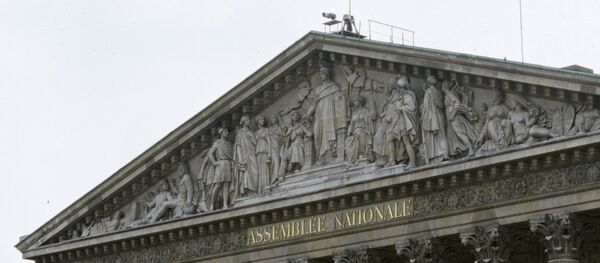 Национальное собрание Франции - Sputnik Afrique