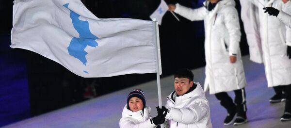 Церемония открытия XXIII зимних Олимпийских игр - Sputnik Afrique