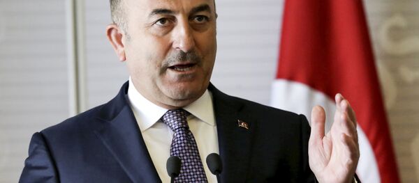 Mevlüt Cavusoglu - Sputnik Afrique