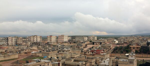 Afrine - Sputnik Afrique