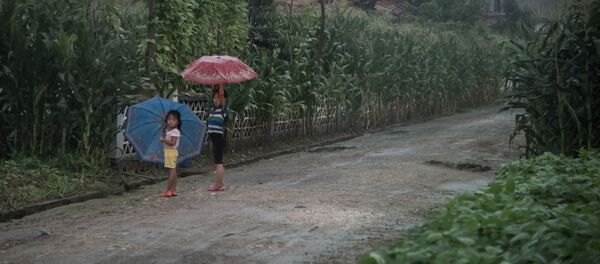 Дети укрываются от дождя под зонтами на юге Пхеньяна Дети укрываются от дождя под зонтами на юге Пхеньяна - Sputnik Afrique