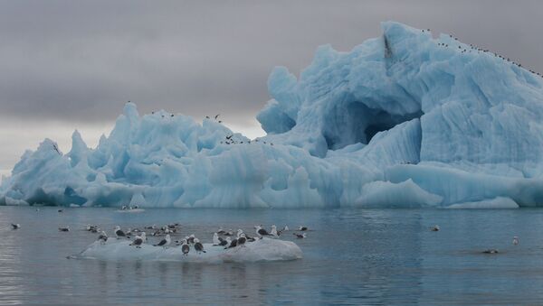 Iceberg near Hooker Island, Franz Josef Land, Russia - Sputnik Afrique