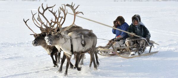 Nénétsie - Sputnik Afrique