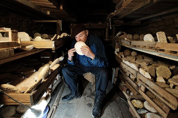 Dans la cave à fromage de Vladimir Borev Dans la cave à fromage de Vladimir Borev - Sputnik Afrique