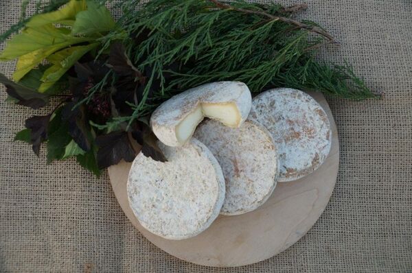 Fromages de la marque Beau RÊVE Fromages de la marque Beau RÊVE - Sputnik Afrique