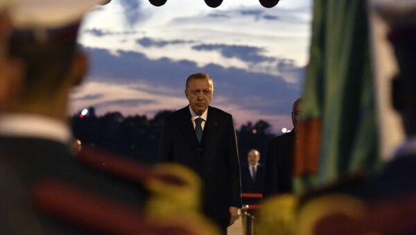 Erdogan lors de sa visite en Algérie - Sputnik Afrique