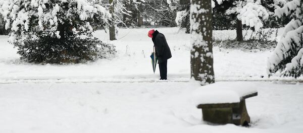 Снегопад в Париже - Sputnik Afrique