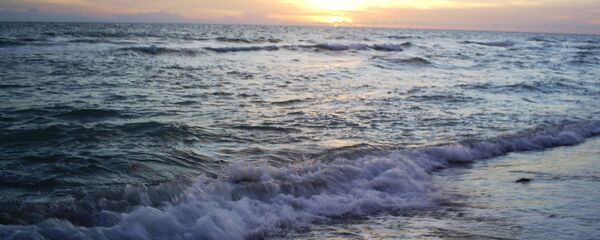 Floride Floride - Sputnik Afrique