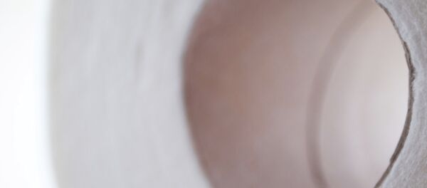 Papel higiénico - Sputnik Afrique