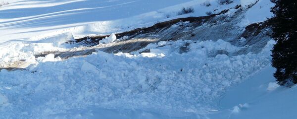 Une avalanche - Sputnik Afrique