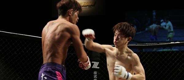 Chinois - Sputnik Afrique