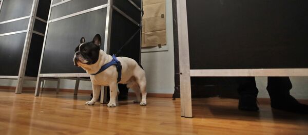 élections législatives italiennes - Sputnik Afrique