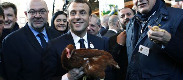 Macron - Sputnik Afrique