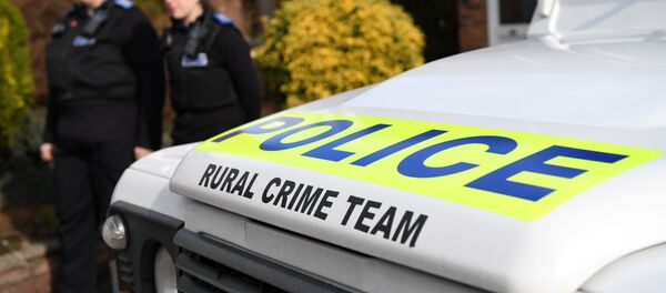 police,Salisbury - Sputnik Afrique