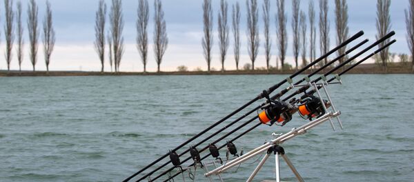 Cannes à pêche (image d'illustration) - Sputnik Afrique