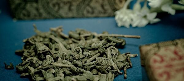 Des feuilles de thé vert - Sputnik Afrique