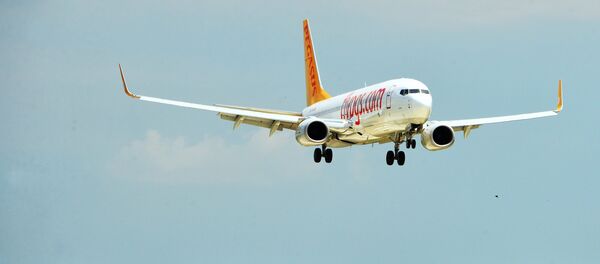 Un Boeing 737-800 de Pegasus Airlines - Sputnik Afrique