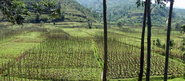 Rwanda (image d'illustration) - Sputnik Afrique