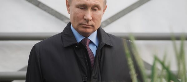 Vladimir Poutine Vladimir Poutine - Sputnik Afrique